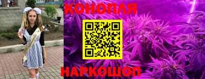 сатива Донской