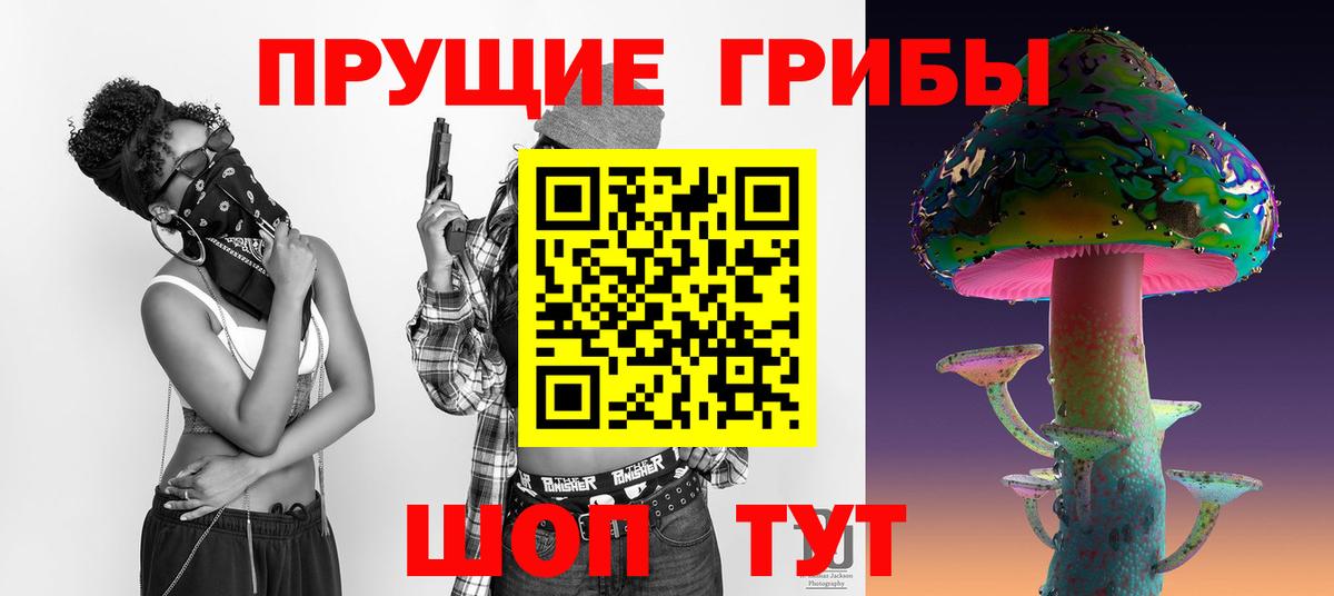 Псилоцибиновые грибы GOLDEN TEACHER  Вход с VPN  Можга 