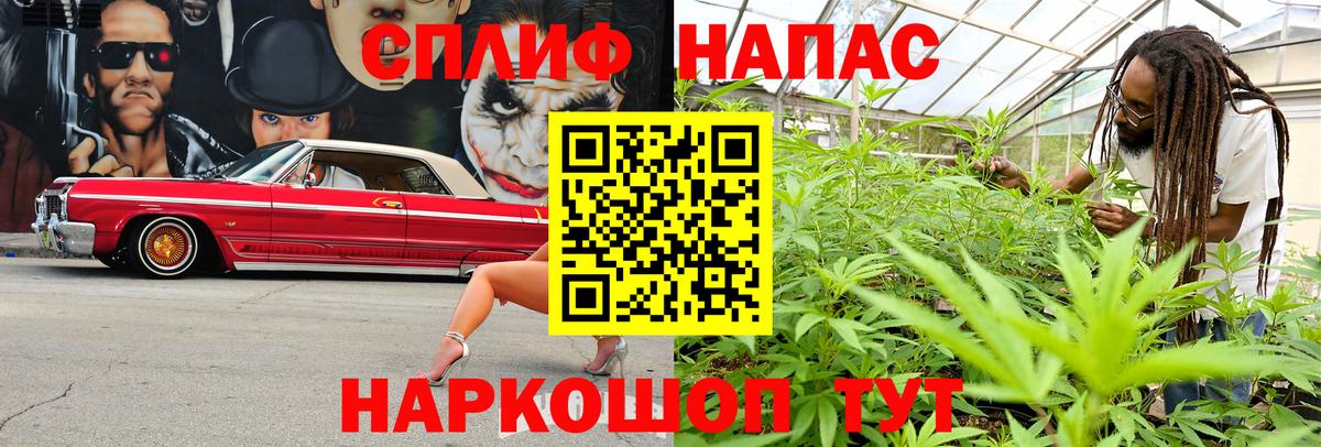 Бошки Шишки план  Вход с VPN  Бошки марихуана планчик  Можга  Бошки Шишки тримм  Бошки марихуана Bruce Banner 